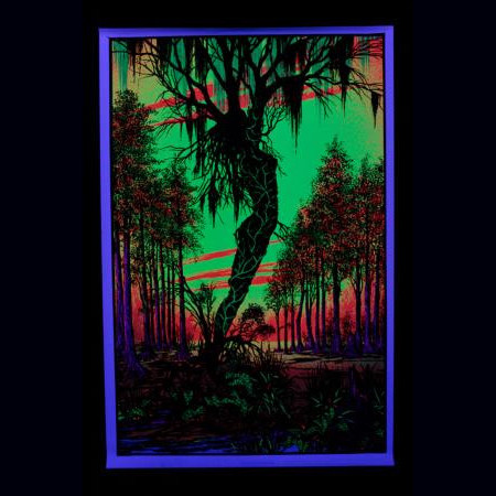 Poster fluo :  Swamp Mirage