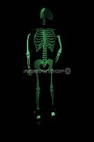 Costume squelette phosphorescent M