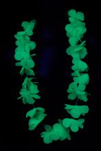 Collier fluo Hawaï vert