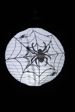 Lanterne lumineuse blanche Halloween Spider 20 cm