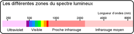 Location lumiere fluo - projecteur UV lumiere noire - lampe