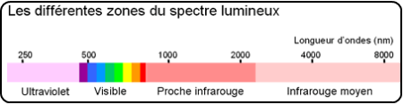 La lumière noire : comment ça marche ?