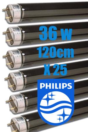 Carton de 25 néons T8 36 w Phillips