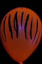 50 Ballons Fluo Safari UV