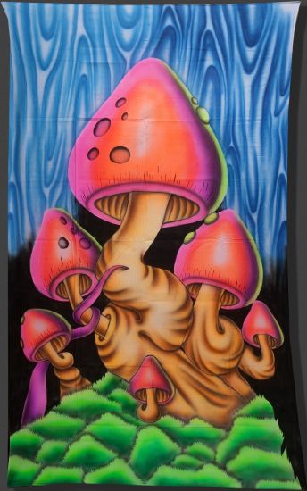 Tenture Fluorescente Airbrush AR114