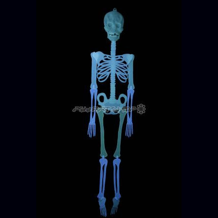 squelette-phosphorescent-140cm-big.jpg