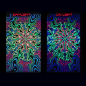Rainbow Flake Fractal