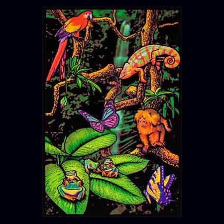 poster-fluo-foret-tropicale-UV-big.jpg