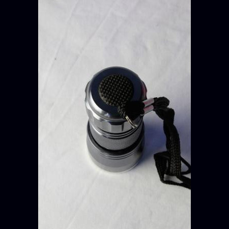 Lampe de poche lumière noire LED UV 21 LEDs UV 395 nm