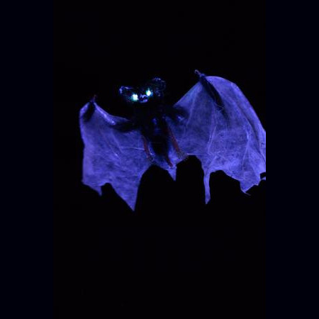decoration-halloween-lumineuse-chauve-souris-qui-brille-la-nuit-deco-hallowe.jpg
