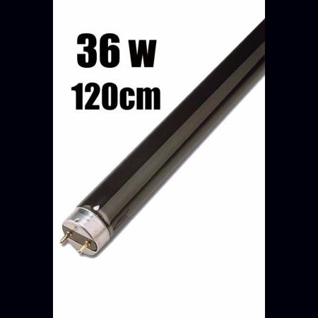 Néon lumière noire UV 36w 120 cm Omnilux