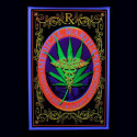 Poster fluo : Medical Marijuana