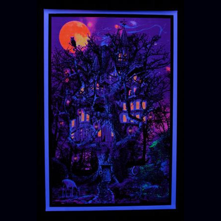 poster-fluo-decoration-maison-hantee-reagit-a-la-lumiere-noire-UV-big.jpg