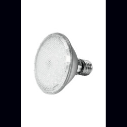 Ampoule PAR-30 10W E27 62 LEDs
