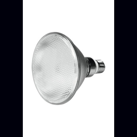 Ampoule PAR-38 18W E27 46 LEDs