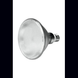 Ampoule PAR-38 18W E27 46 LEDs